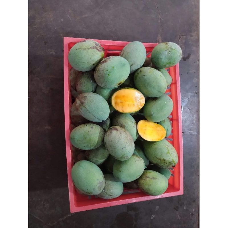 

mangga manalagi madu