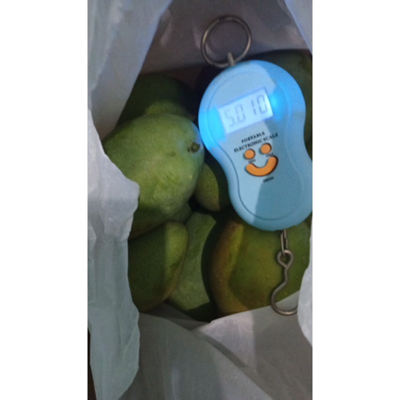 

Mangga Gadung Clonal