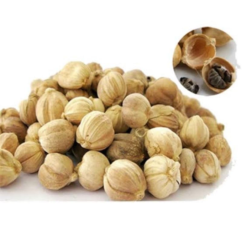 

White Cardamon Whole / Kapulaga Putih Utuh / Kapulaga Lokal