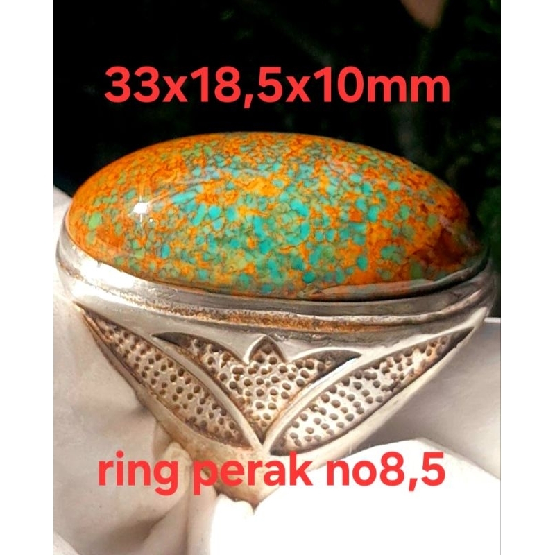 Pirus Persia beras wutah urat emas jumbo