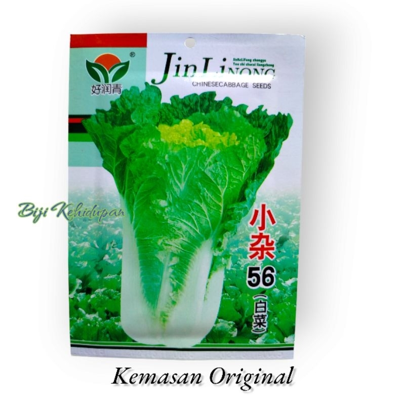 BENIH SAWI PUTIH CHINA IMPORT 56 (KEMASAN ORIGINAL)