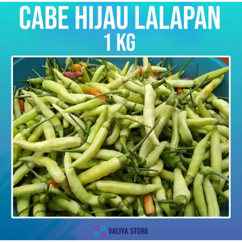 

1 KG CABE HIJAU LALAPAN SEGAR MURAH PROMO