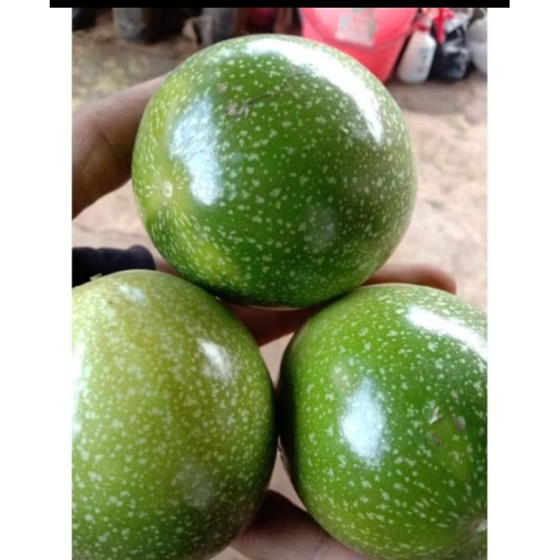 

jual buah konyal ,markisa segar 500g bisa cod