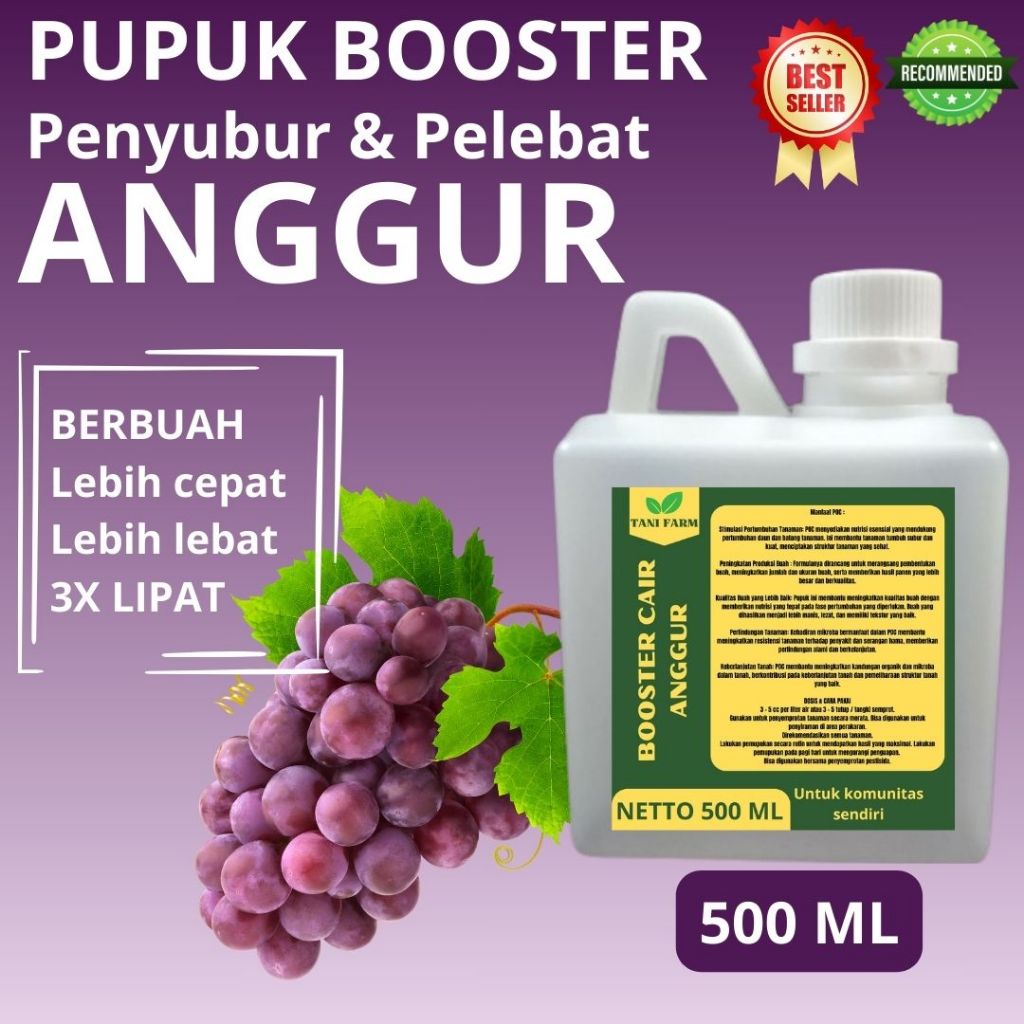 Pupuk Anggur Agar Buah Lebat dan Berat / Pupuk Anggur / Pupuk Anggur Baru Tanam / Pupuk Anggur Cair