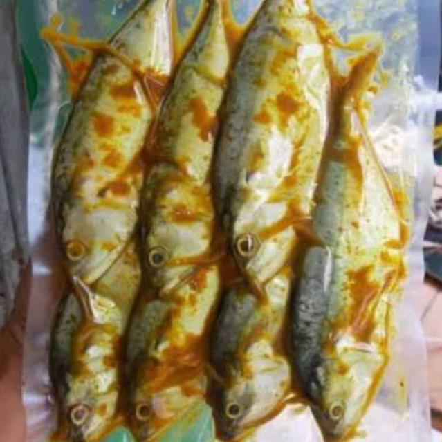 

KIRIM INSTANT/SAMEDAY 6 ekor Ikan Kembung Marinasi Bumbu Kuning
