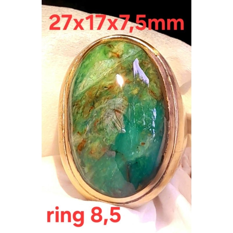 Pirus Hubei hijau multicolour size jumbo