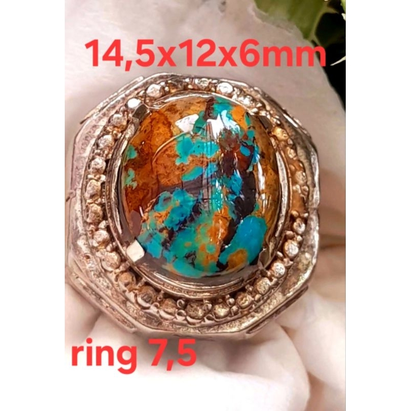 Pirus Persia lawasan Abdul Rozaq multicolour HQ kantoran