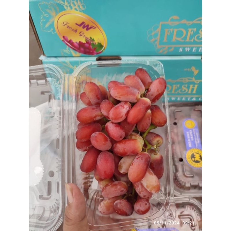 

Anggur Crimson Malang Kota