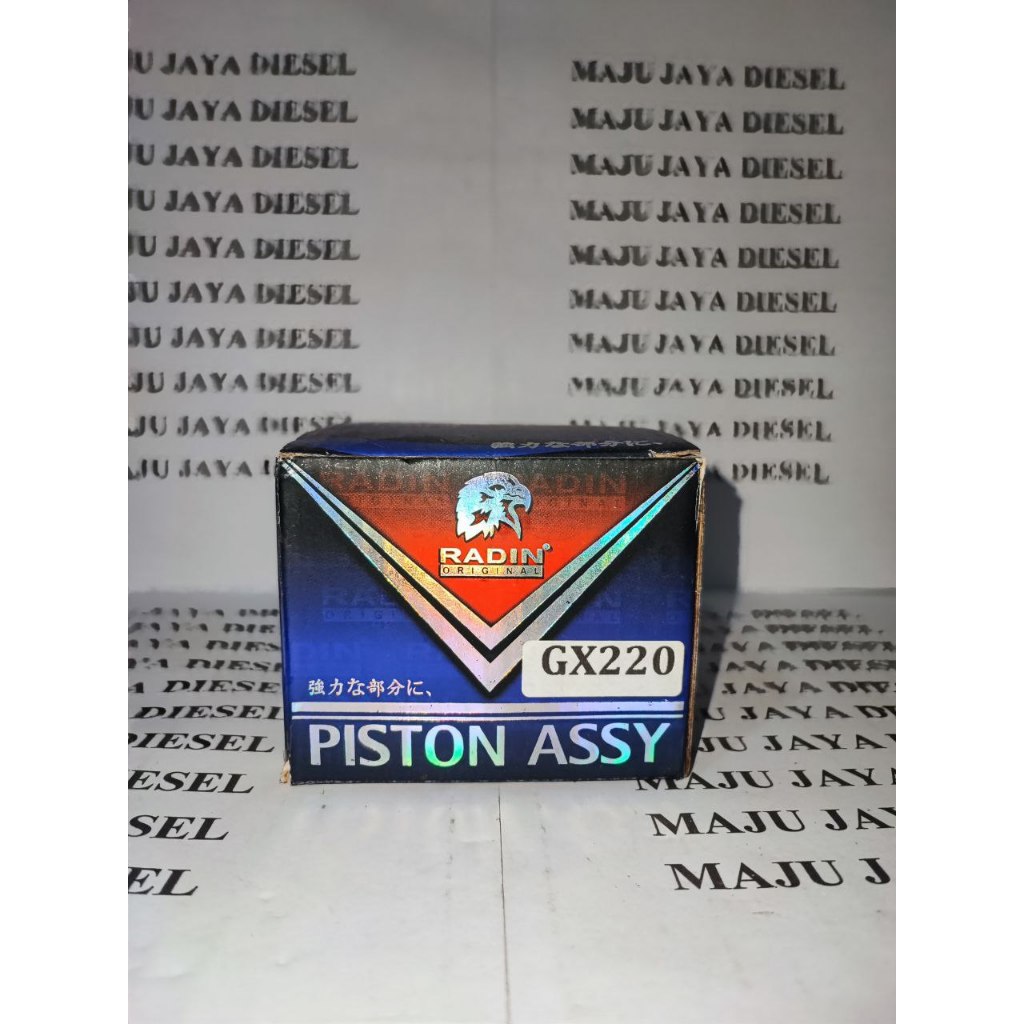 Piston Kit Set / Seher GX220 Radin
