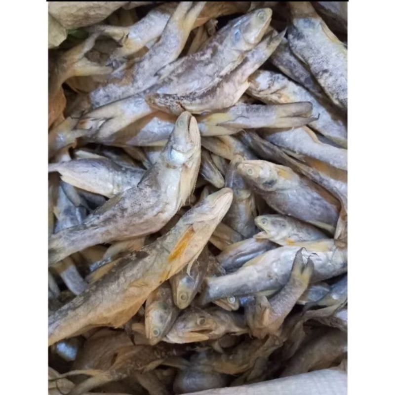 

Ikan Asin Sinangin medan / ikan asin kuro kecil 250gr 500gr 1000gr