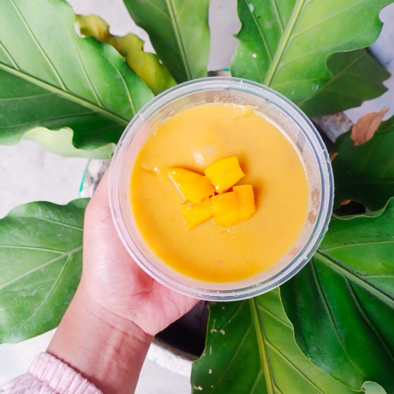 

Puding Regal Pelok Mangga