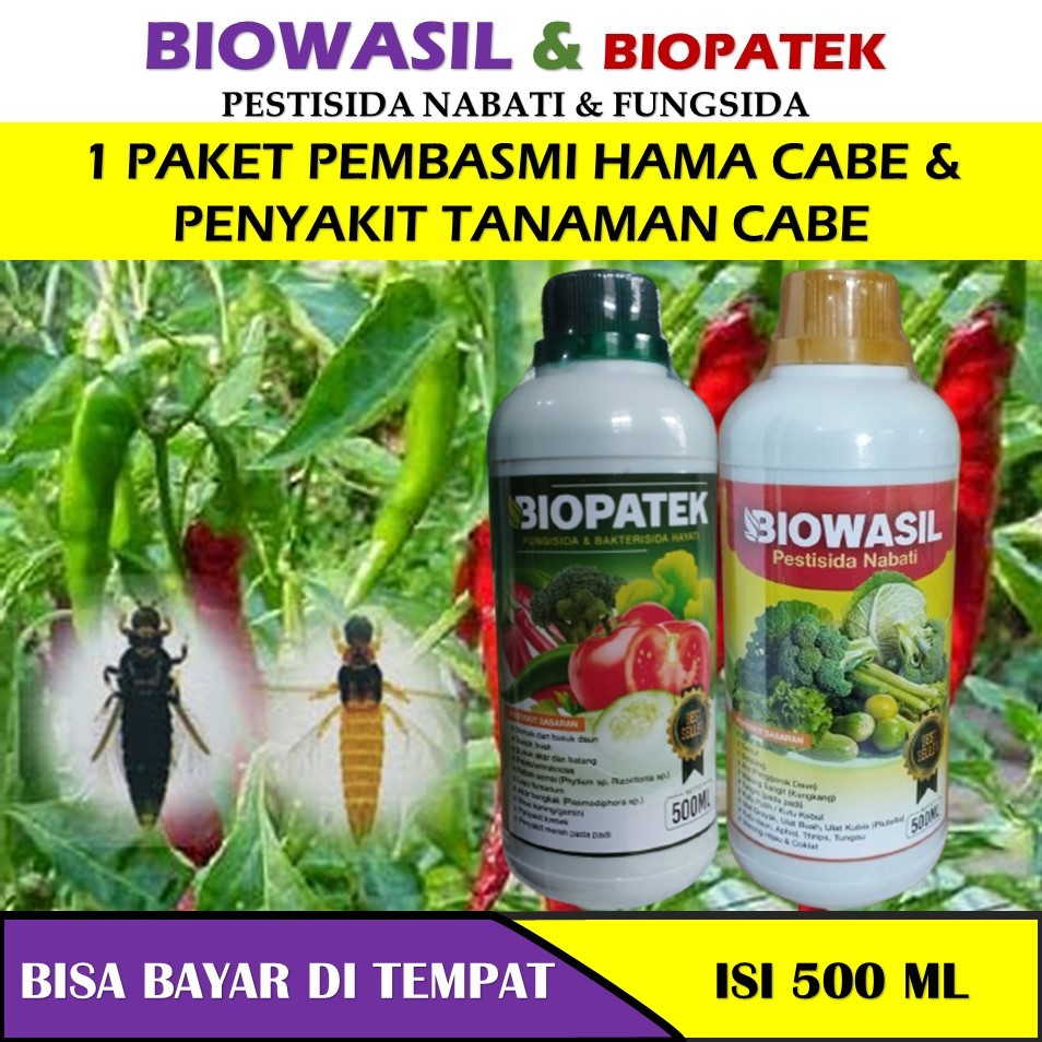 ASLI MURAH Obat Semprot Penyakit Hama Tanaman Cabe Cabai Merah Hijau Cabe Rawit Kriting yang Bagus 1