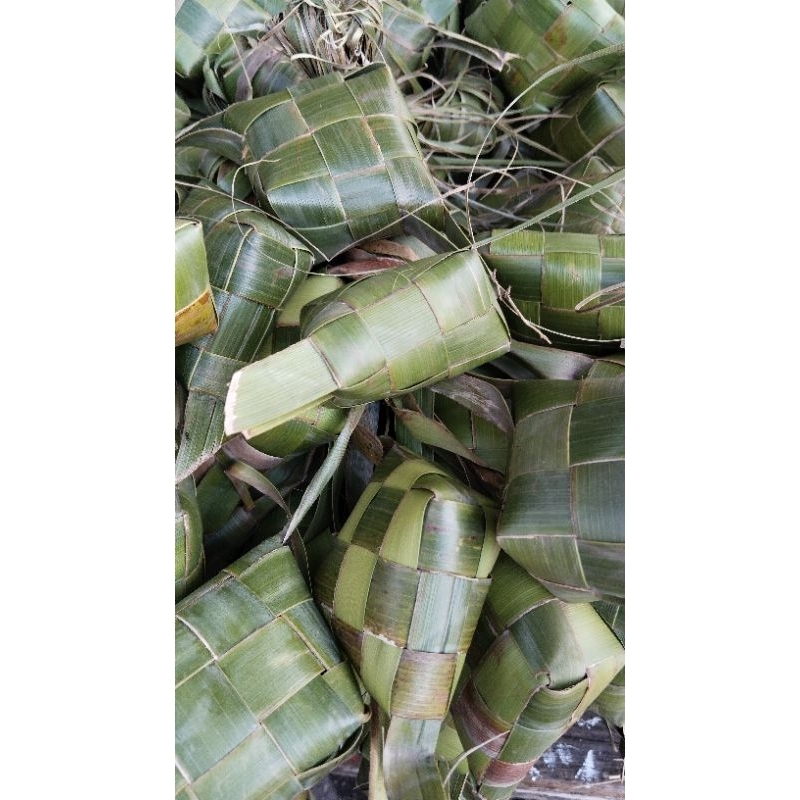Sarang Ketupat - Cangkang Ketupat - Janur Ketupat