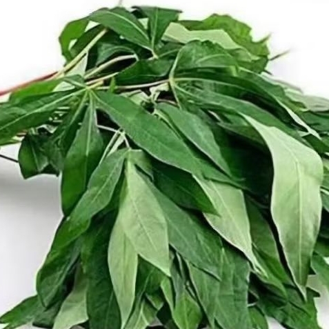 

DAUN UBI KAYU/ IKAT silakan di oder ka