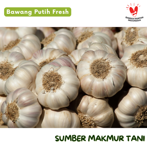 

Bawang Putih Honan Segar Kualitas Terbaik