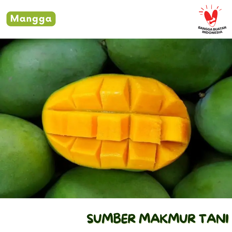 

[TERMURAH] Mangga Harum Manis Segar 1 kg – Buah Manis dan Juicy Kaya Vitamin C kirim instant