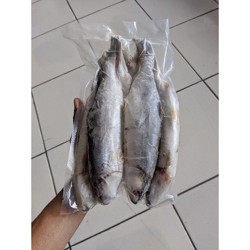 

Ikan bandeng Utuh 1kg 1000 gram frozen beku