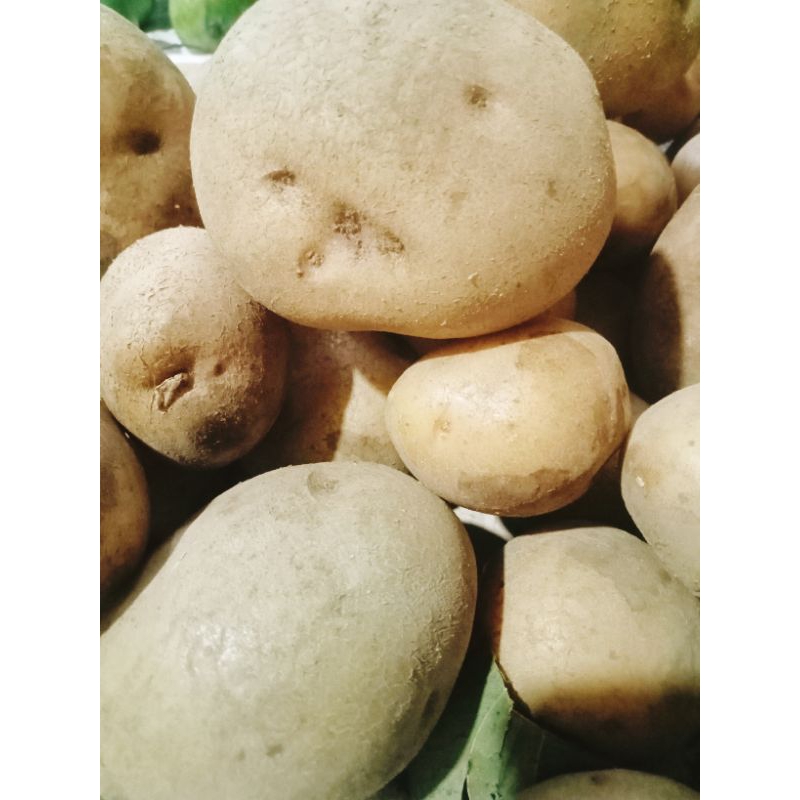 

kentang dieng super fress 1kg