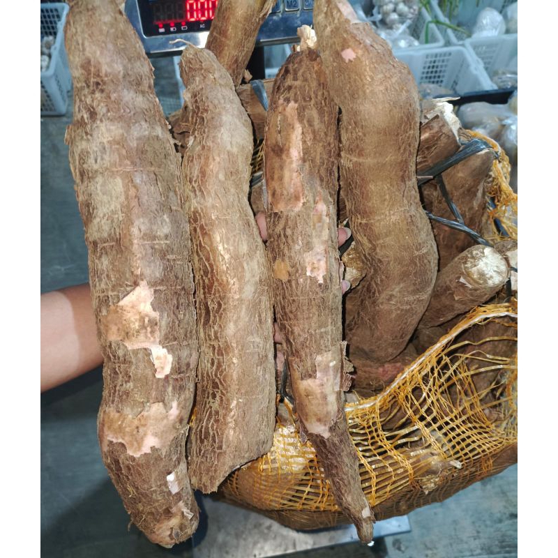 

Telo kaspe 1kg