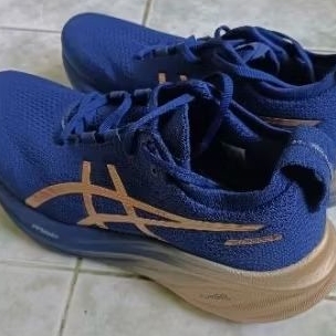 Asics Novablast 4 (preloved)