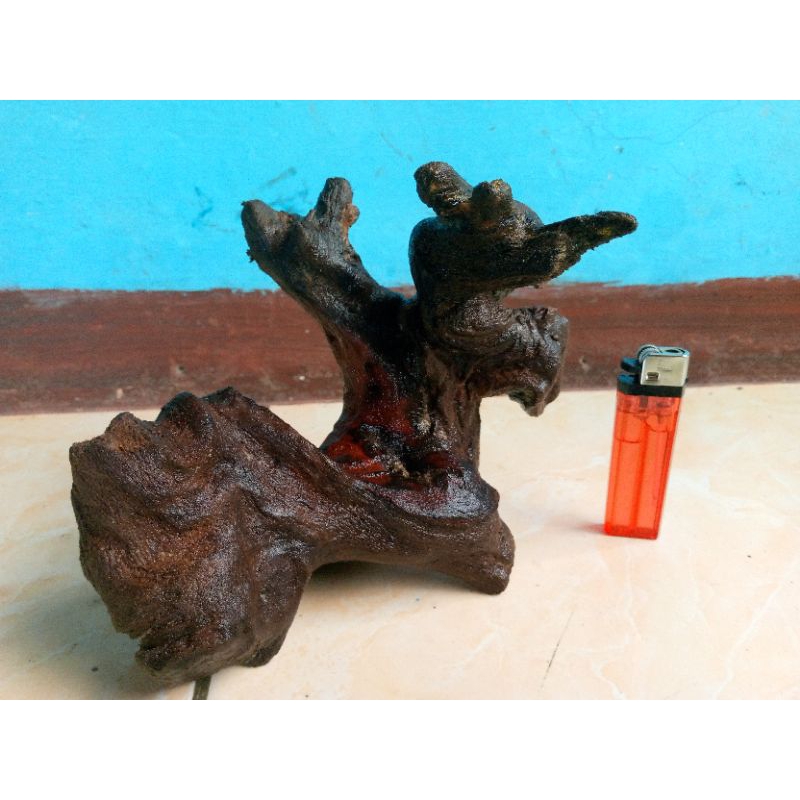kayu aquascape tenggelam
