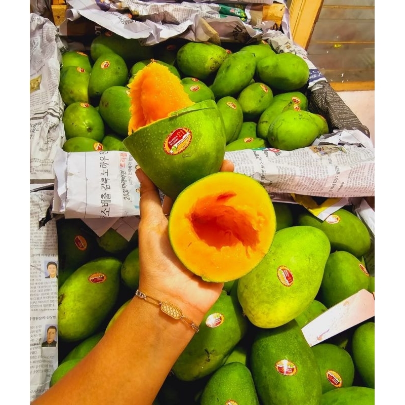 

MANGGA KLONAL TUA POHON 5KG