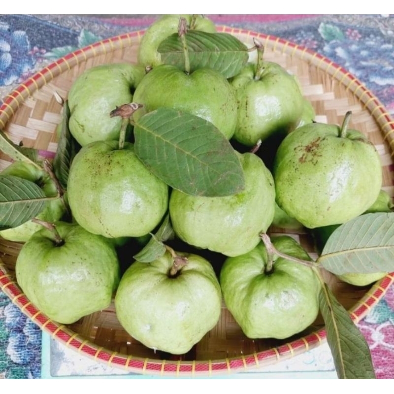 

jambu kristal 1kg