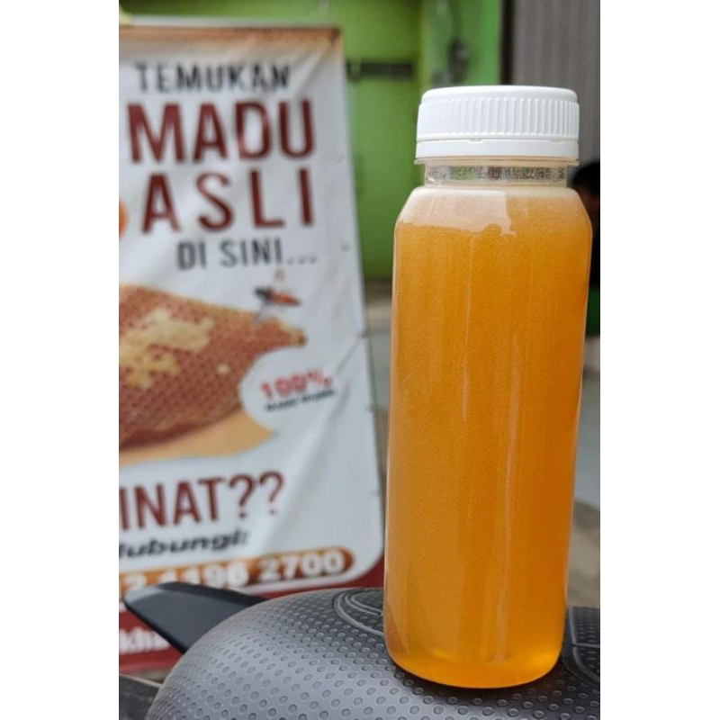 

Madu Hutan Asli Kualitas Premium