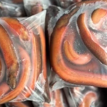 

BELUT SUPER 1 KG ISI 4-6