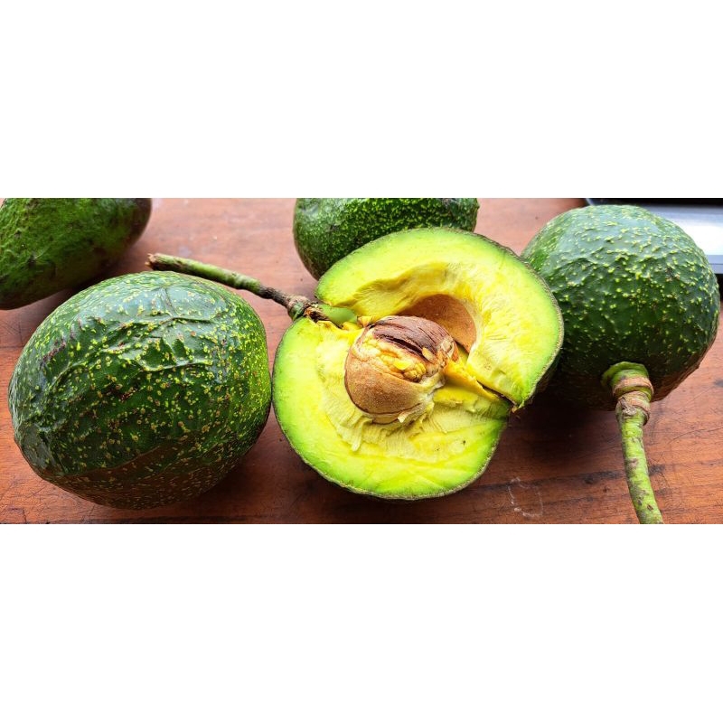 

Alpukat Lokal Unggulan. Isi 3/4 Per kilo