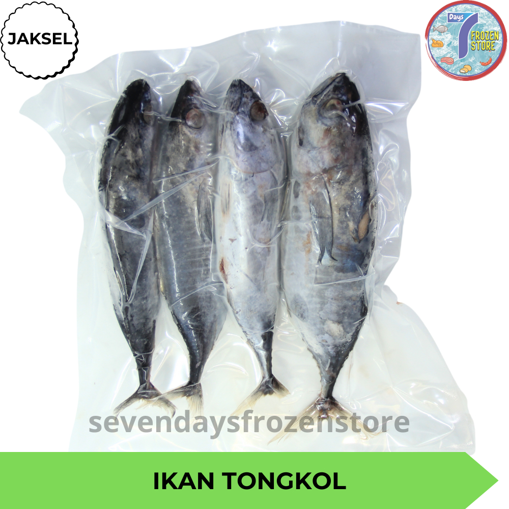 

RB Ikan Tongkol Beku Kapal Frozen