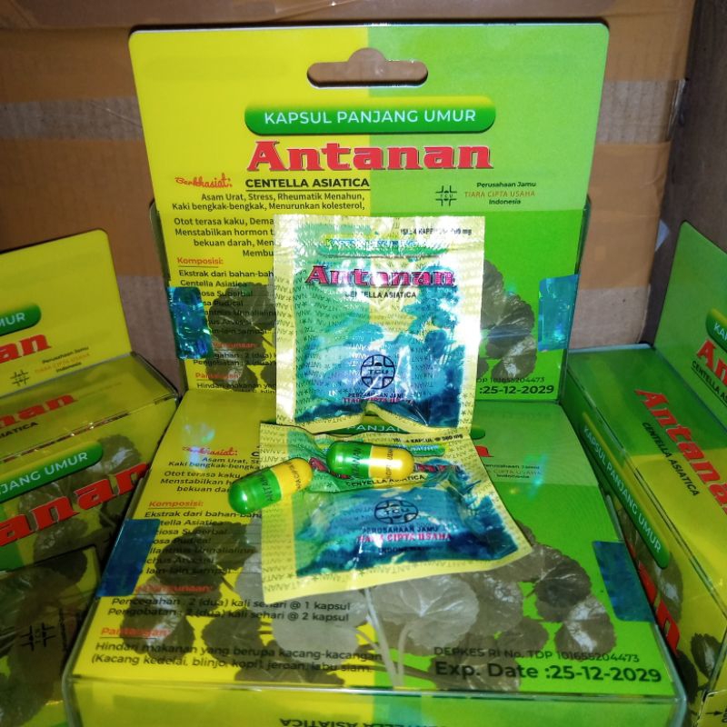 

OBAT HERBAL AN TA NAN ASAM URAT REMATIK