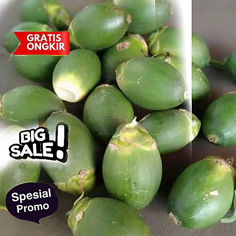 

Buah Pinang Muda Pres 1 Kg