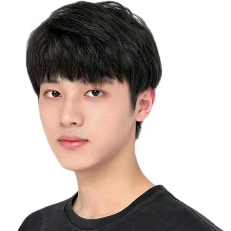 WIG KOREA PENDEK/WIG PRIA KOREA/WIG COWO RAMBUT PALSU VERSI KOREA