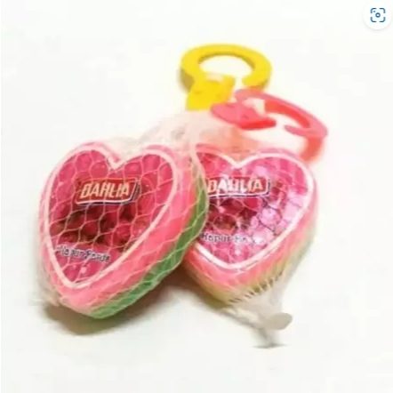 Dahlia kapur barus/Dahlia kamper love