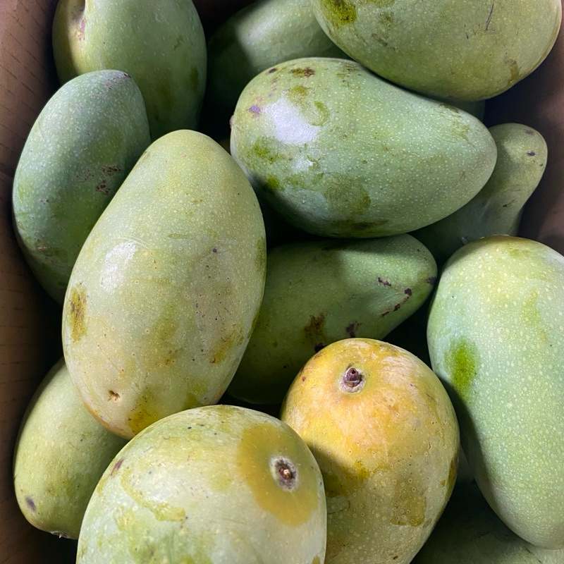

manggaharummanis