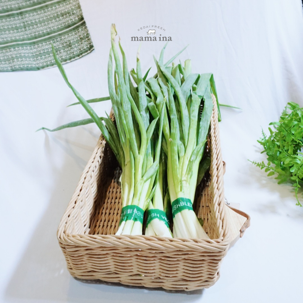 

Bawang Daun 200g