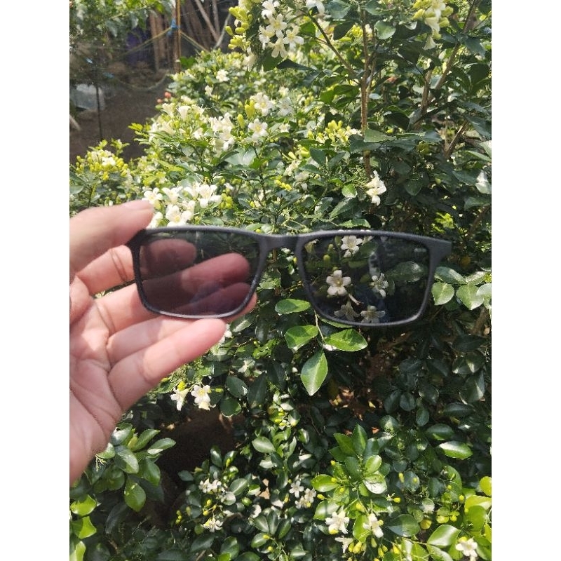 FRAME KACAMATA R 3003 SG