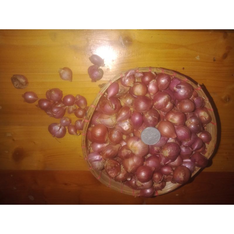 

Bawang Merah Super Nganjuk