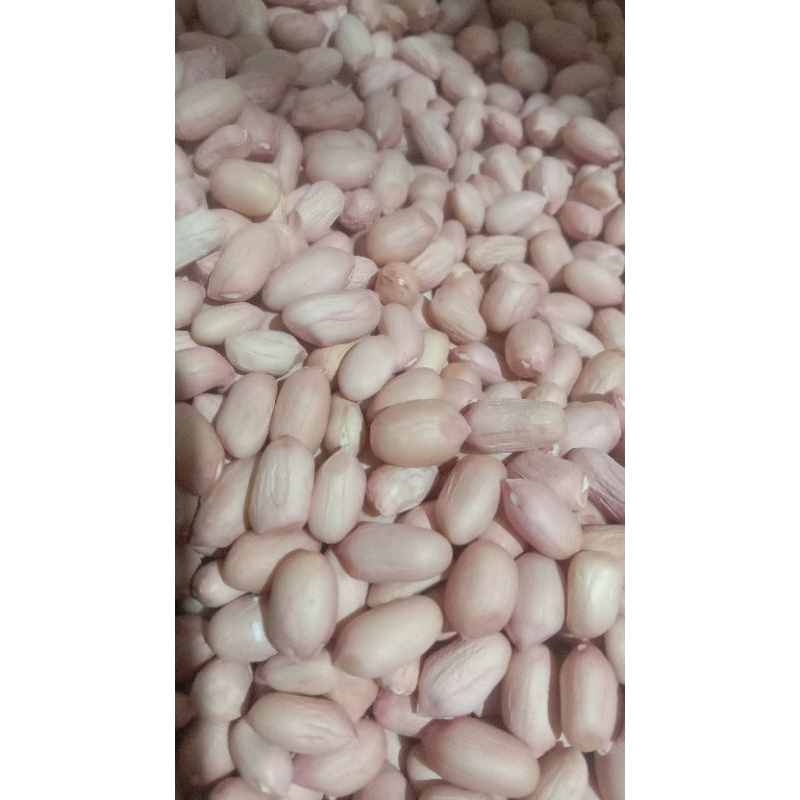 

1 kg kacang tanah original
