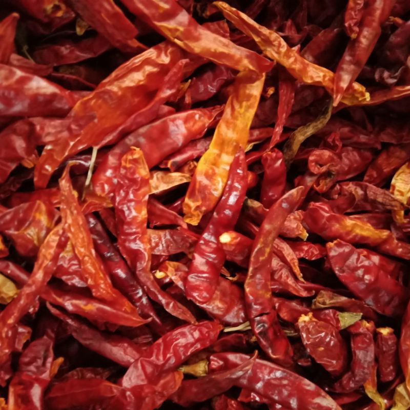 

cabai kering teja 500gram