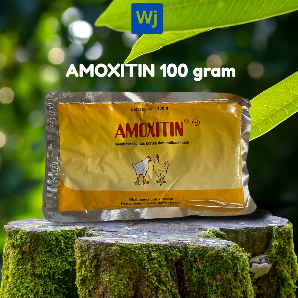OBAT AMOXITIN 100 GRAM MEDION