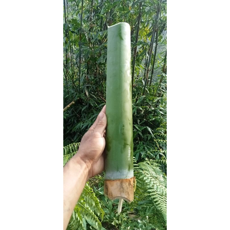 

bambu lemang /buluh ,buat masak