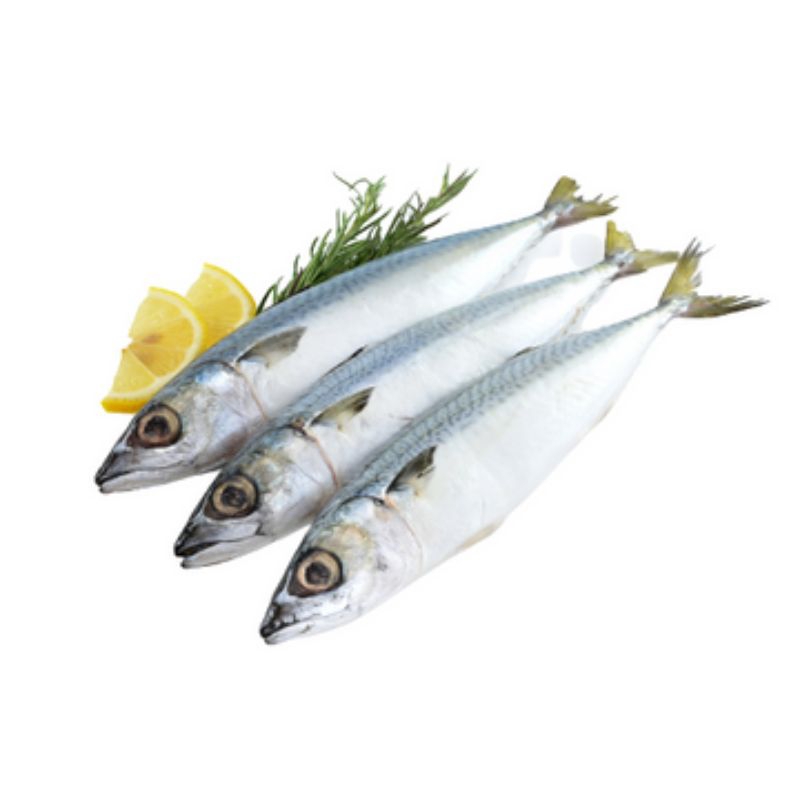 

Ikan Selar -/+ 1000gr (Bliggomarket)