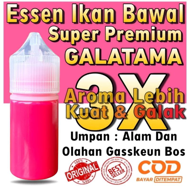 Essen Nu Mancing Ikan Bawal Harian Galatama Indukan Babon Paling Ampuh, Essen Ikan Bawal Harian Jitu