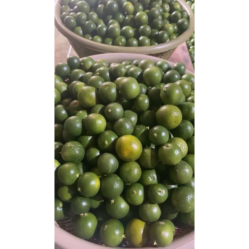 

1KG JERUK SONKIT/ SEGAR FRESh