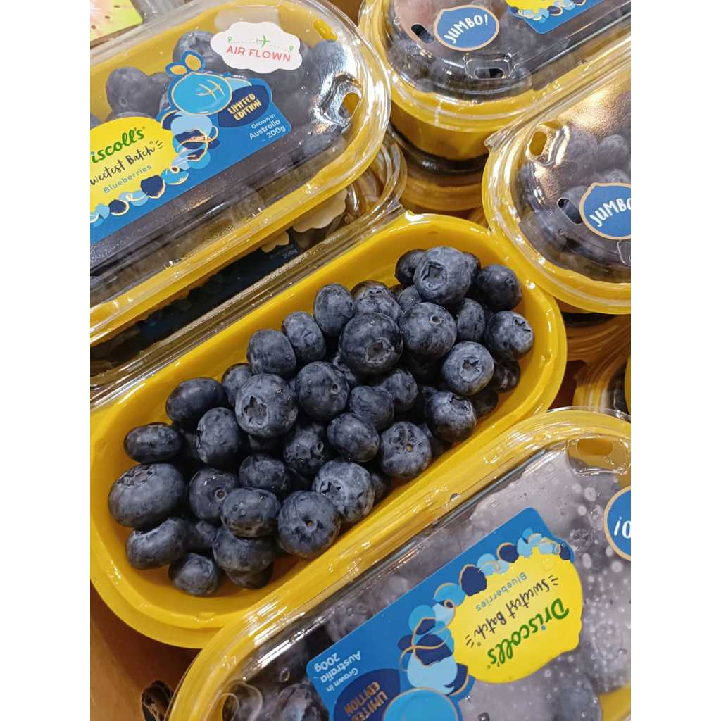 

BLUEBERRY JUMBO DRISCOLLS - FRESH BLUEBERRY - SUKABUAH