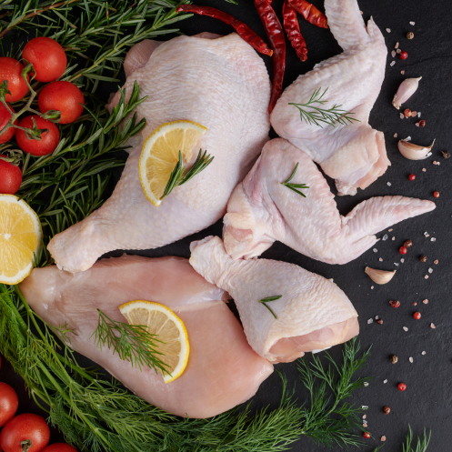 

AYAM SEGAR 2 - Fillet - Potong - Dada - Paha - Kepala - Ceker - Kulit - Ati Ampela - Usus - Jantung (Pasar)