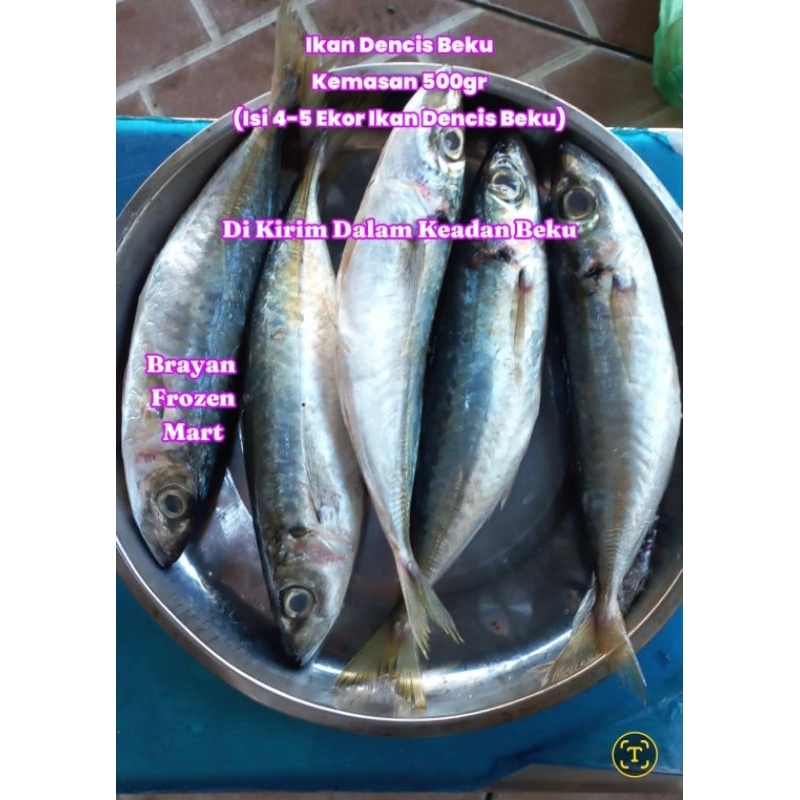 

ikan dencis beku 500gram fresh