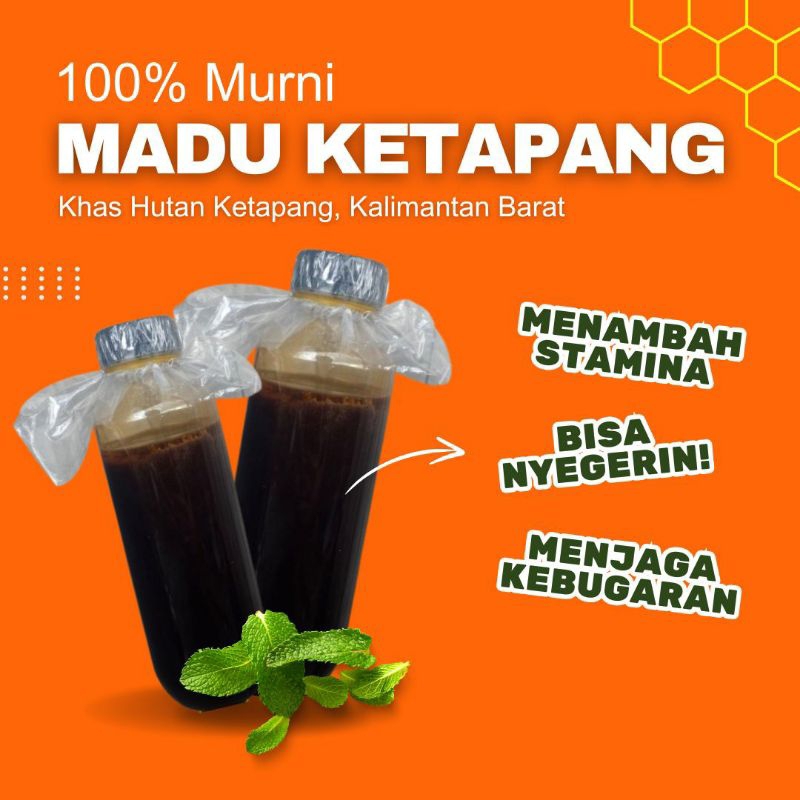 

MADU KETAPANG 250ml, 350ml, 450ml | MADU 100% MURNI | MADU ASLI HUTAN | KALIMANTAN BARAT